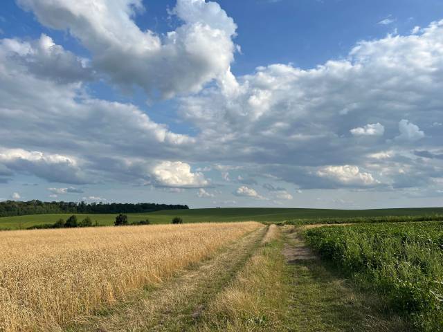 Casas rurales Sant Guim de la Plana Naturaki