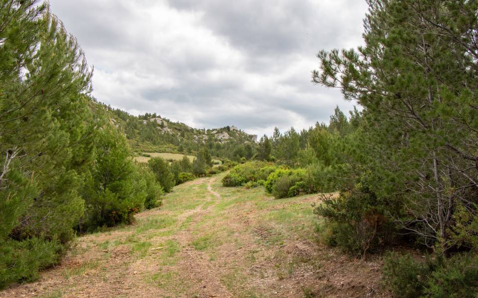 Gîtes de charme dans l'Albagés