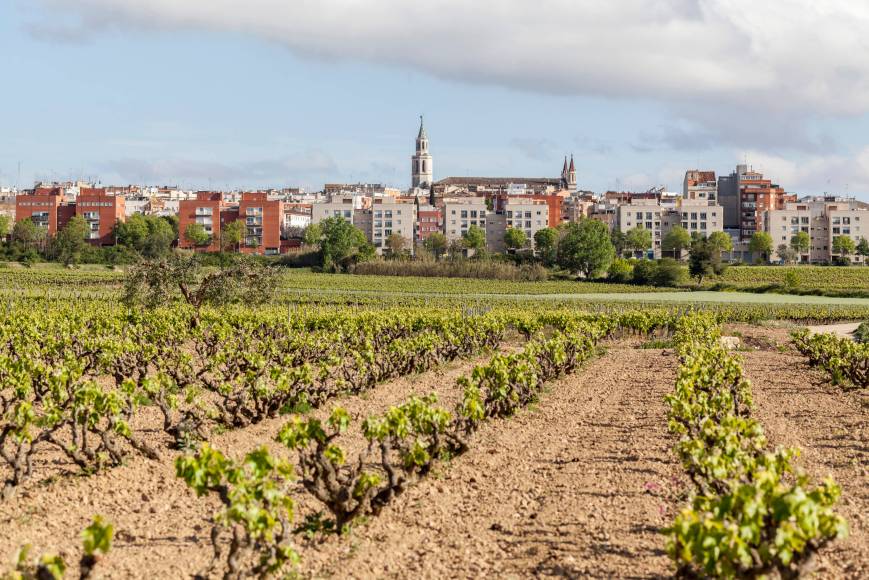 Photo : Vilafranca del Penedès