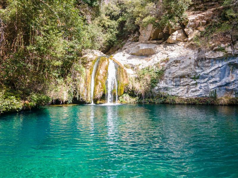 Foto: Gorg Blau (Sant Aniol d'Aguja)