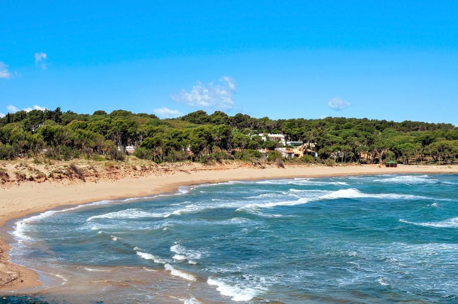 Foto: Playa Rec del Molí (L Escala)
