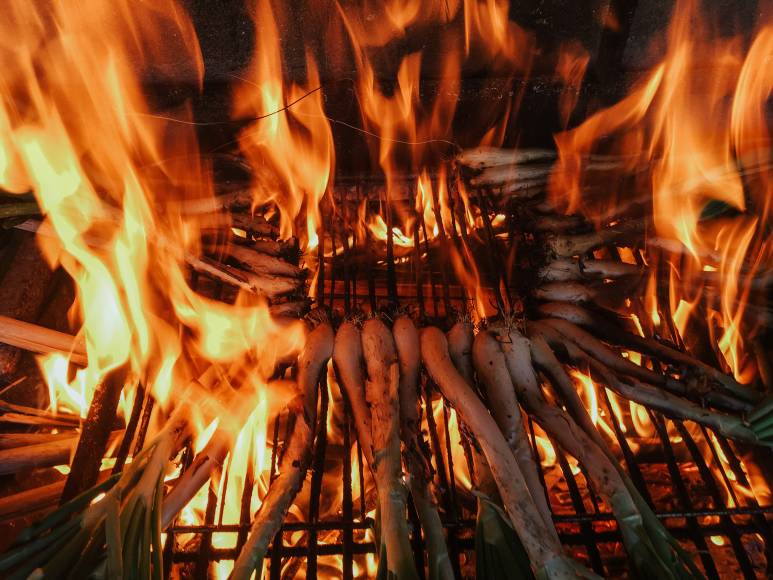 Calçotades, d’où vient la tradition?