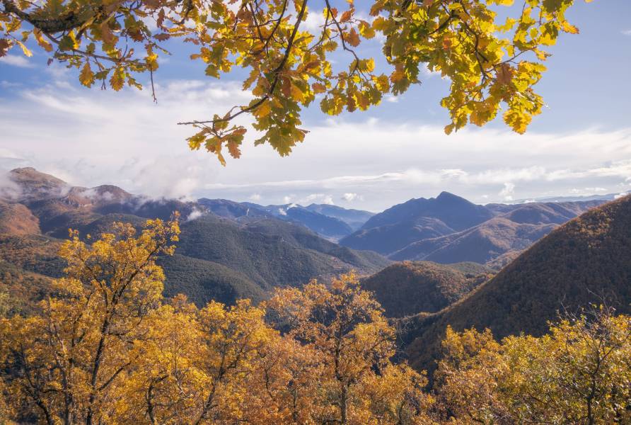 Photo : Paysages du Ripollès en automne