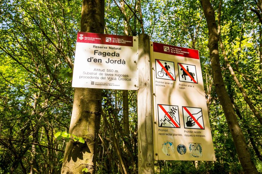 Photo : La Fageda d en Jordà