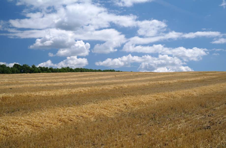 Gîtes de charme à Sant Joan de Mollet
