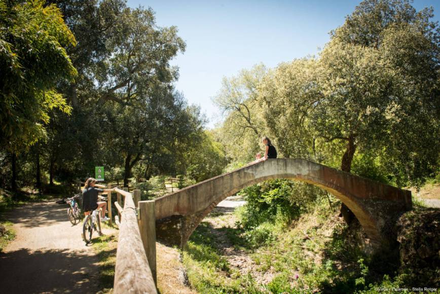 Photo: Tren Petit - Author: Stella Rotger (Consorci Vies Verdes Girona)