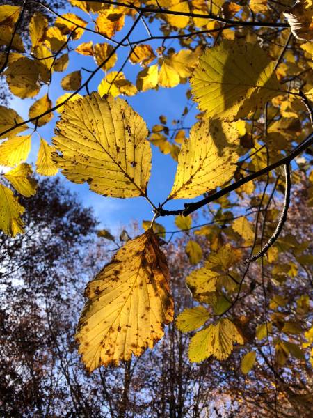 Experiencias de salud y bienestar en la casa