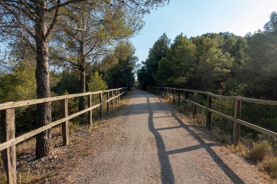 Photo: The Greenway of Terra Alta