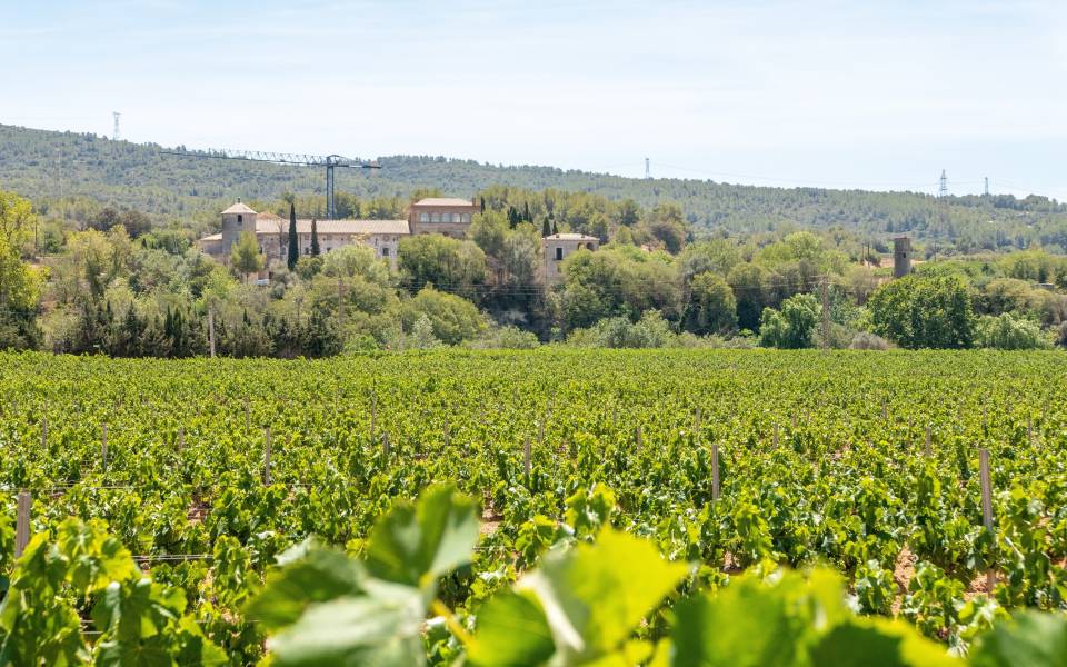 Holiday cottages in Santa Margarida i els Monjos