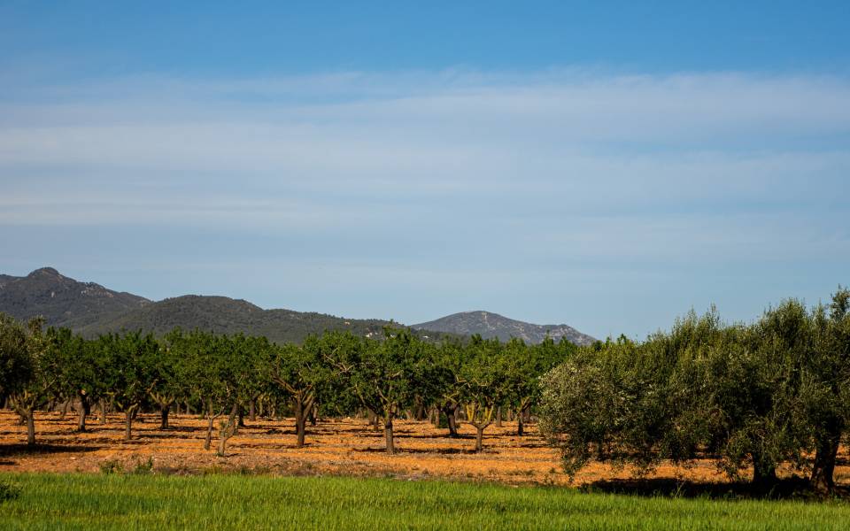 Holiday cottages in Rasquera