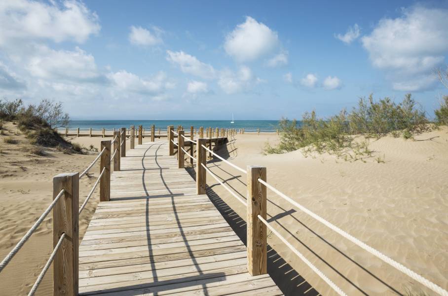 Foto: Platja de Riumar (Deltebre)