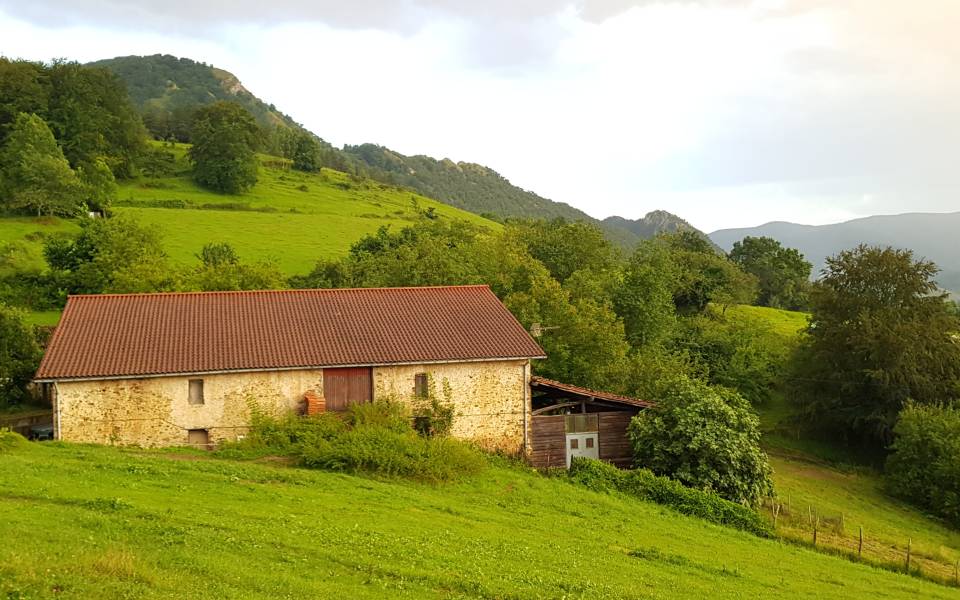 Casas rurales en la Canonja