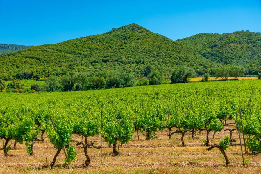 Holiday cottages in Montmaneu