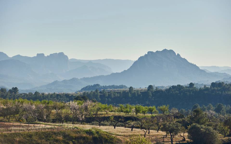  Cases rurals a Santa Bàrbara
