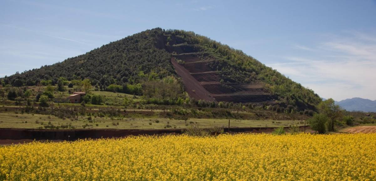 Foto: Maria Geli - Pilar Planagumà. Arxiu d'Imatges PTCBG