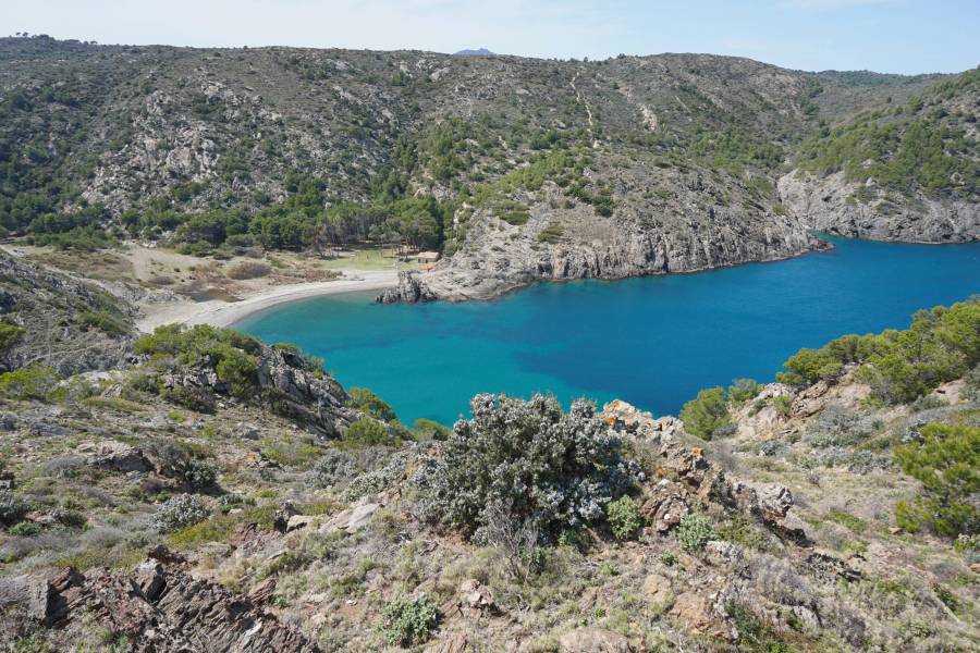 Foto: Cala Tavallera
