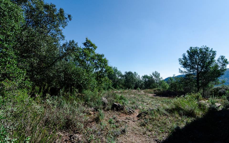 Casas rurales en el Montmell