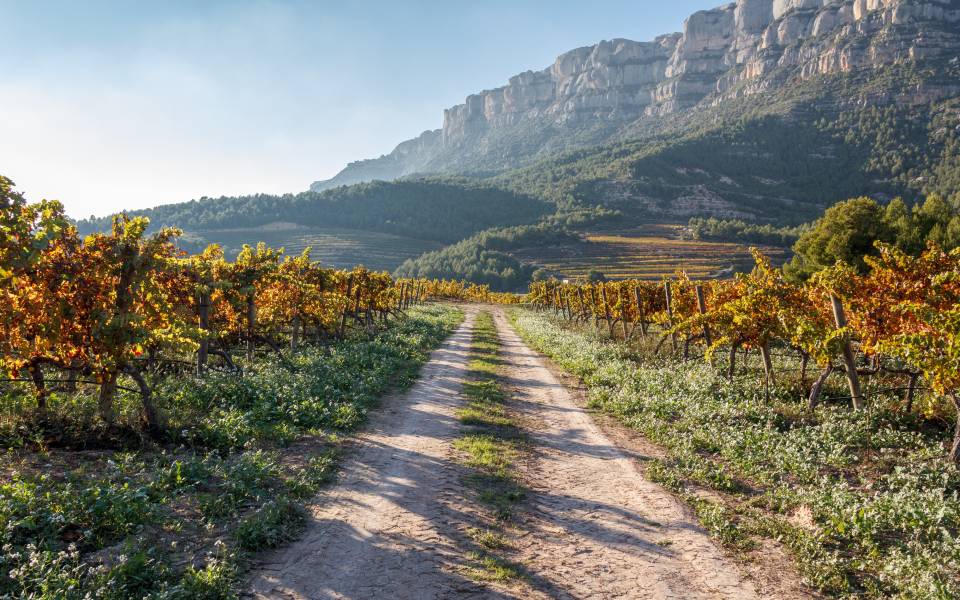 Cases rurals a Torroja del Priorat