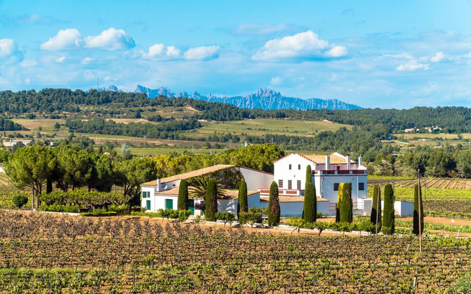 Holiday cottages in Vallromanes