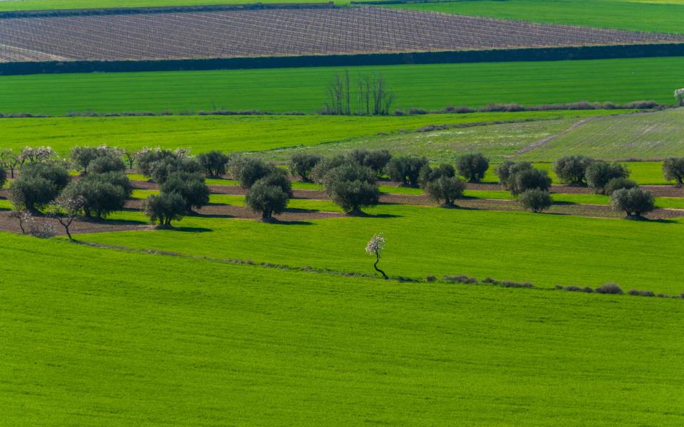 Cases rurals a Sidamon