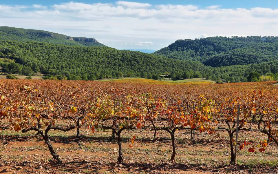 Gîtes de charme à Torrelavit
