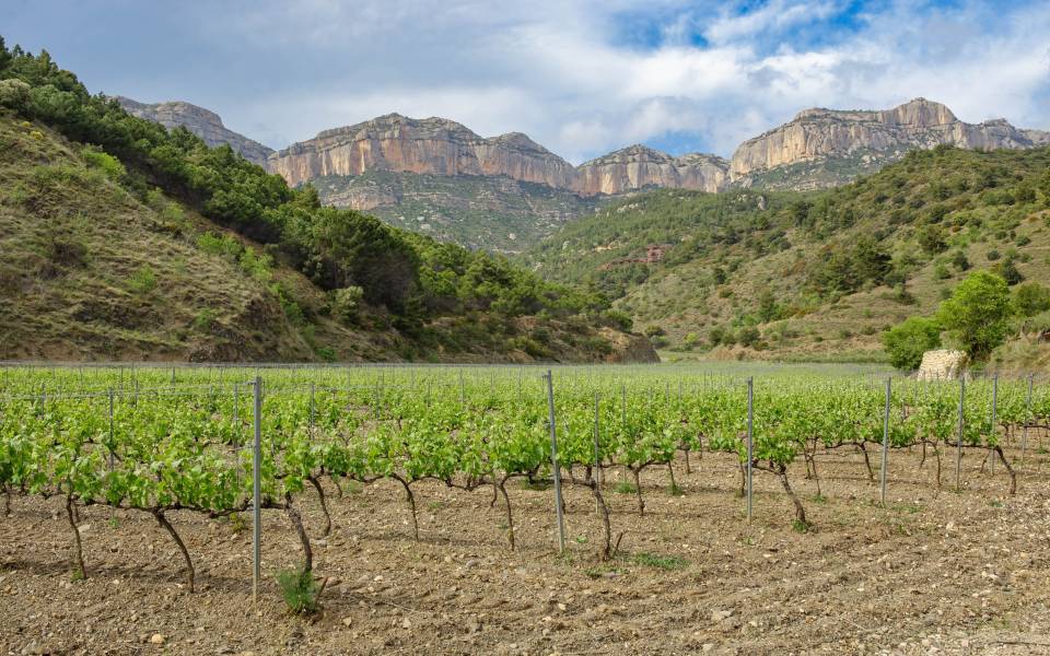 Cases rurals a Escaladei