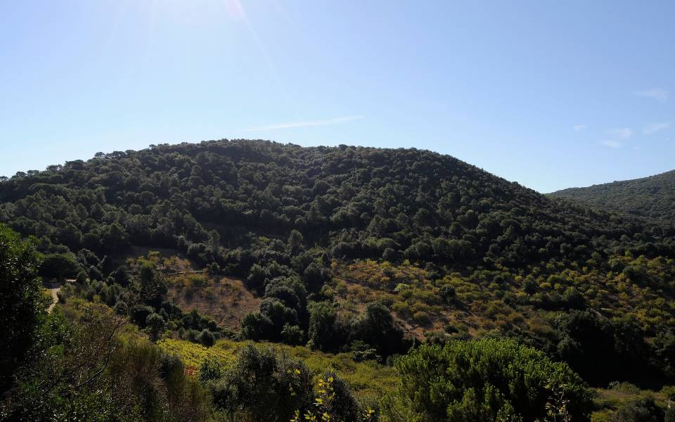 Cases rurals a Montornés del Vallès