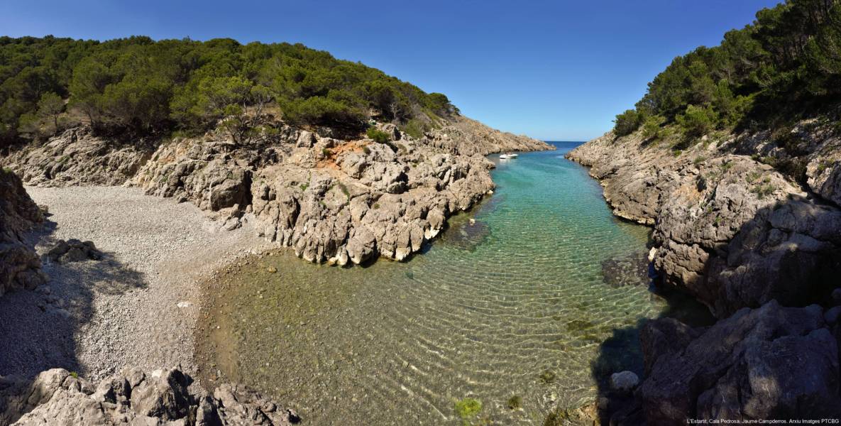 Photo: Cala Pedrosa. Author: Jaume Campderros. Source: PTCBG Image Archive