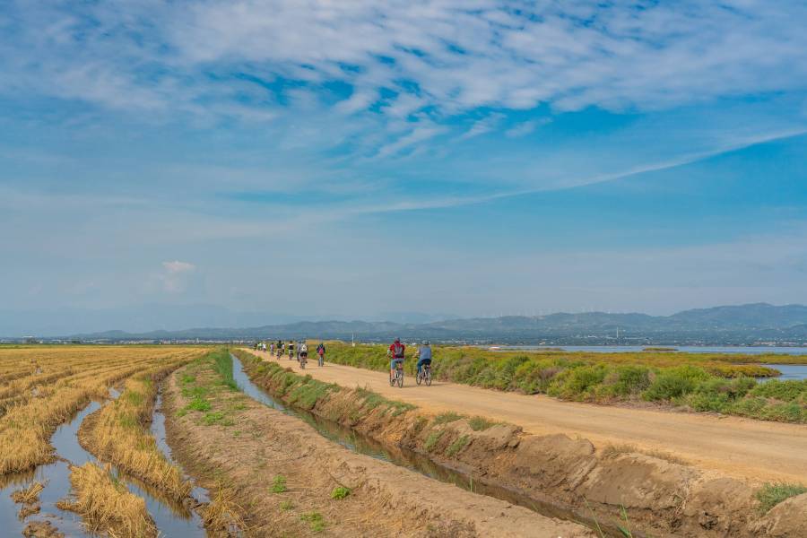 Photo: Greenway of the Ebro Delta