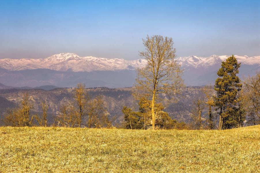 Holiday cottages in Lluçanès
