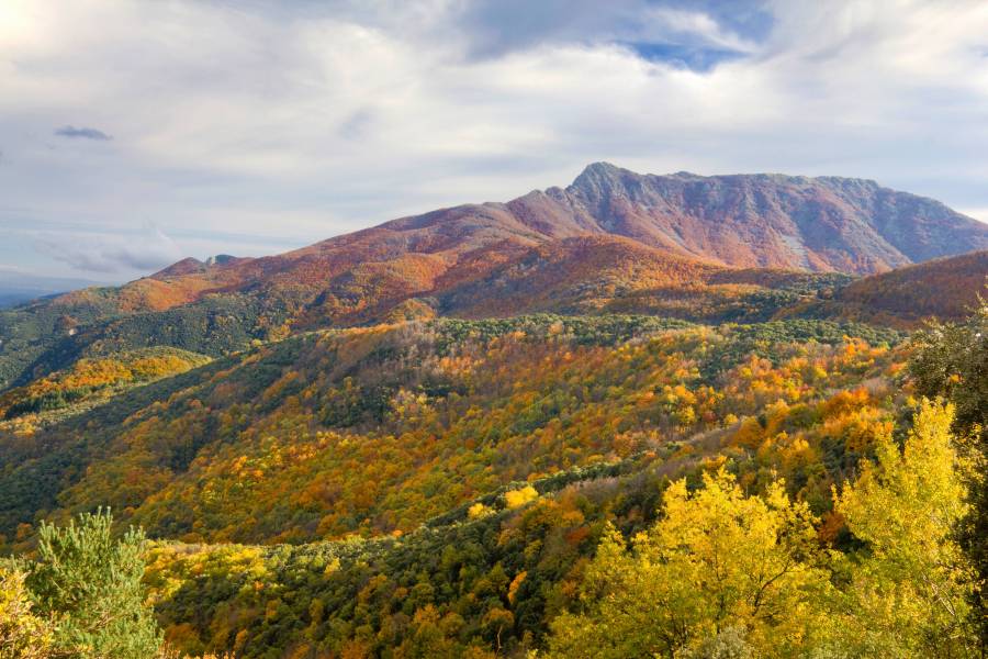 Photo : Parc Naturel du Montseny