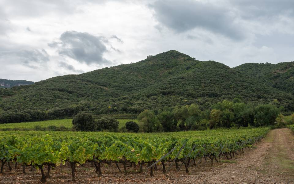 Holiday cottages in Vilaverd