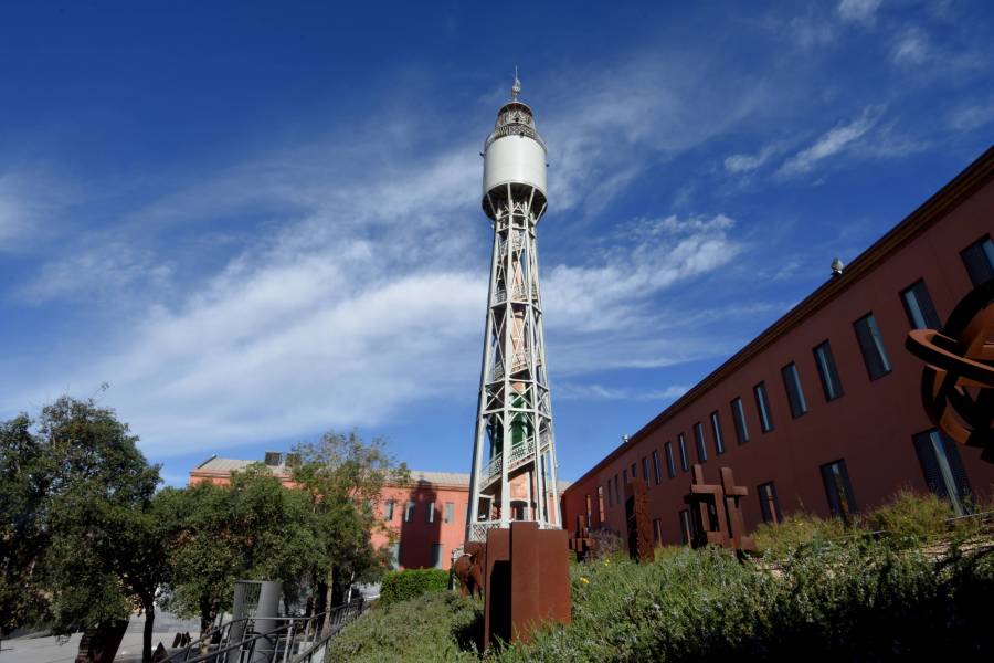 Foto: Museu del Suro