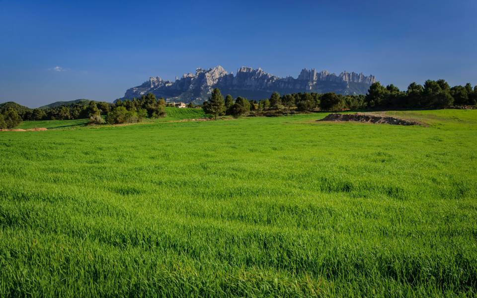 Holiday cottages in Sant Salvador de Guardiola