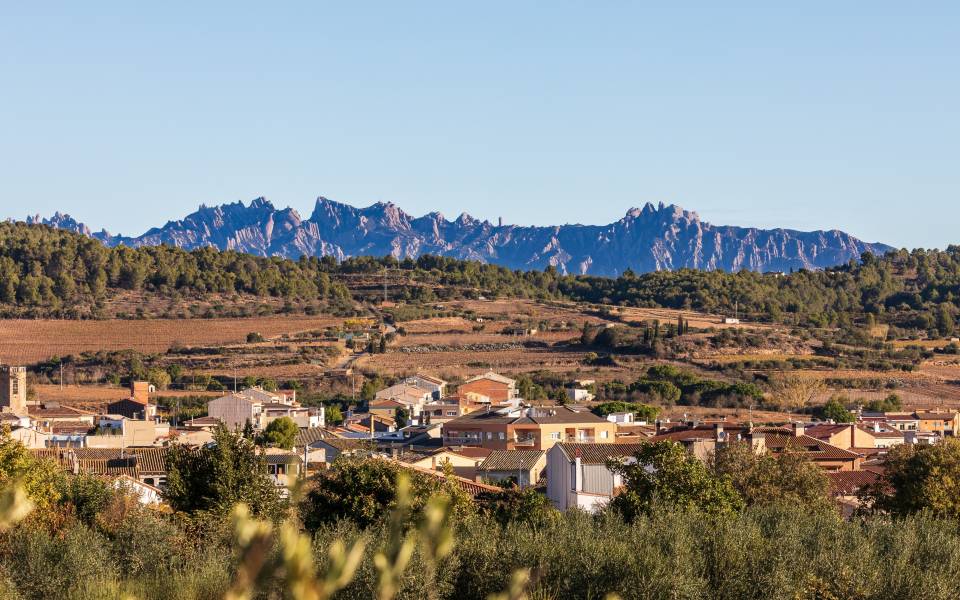 Gîtes de charme à Sant Pere de Riudebitlles