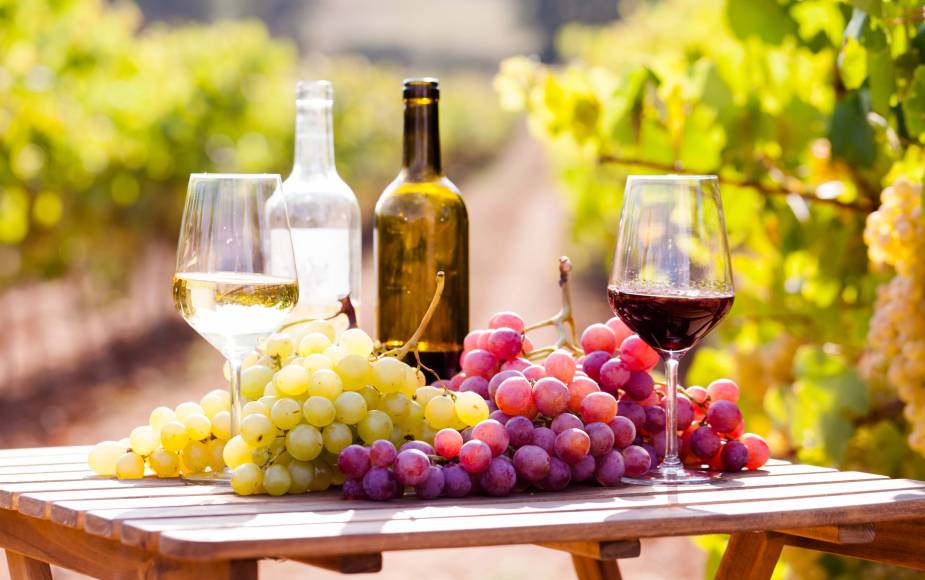 Photo : Route des vins DO Penedès