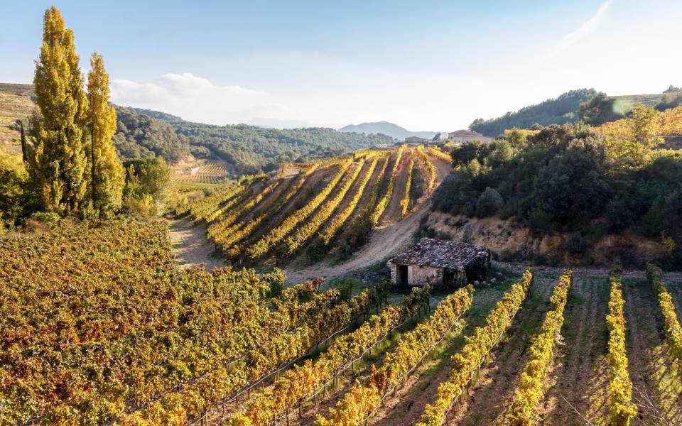 Las mejores casas rurales cerca de La Bisbal de Falset