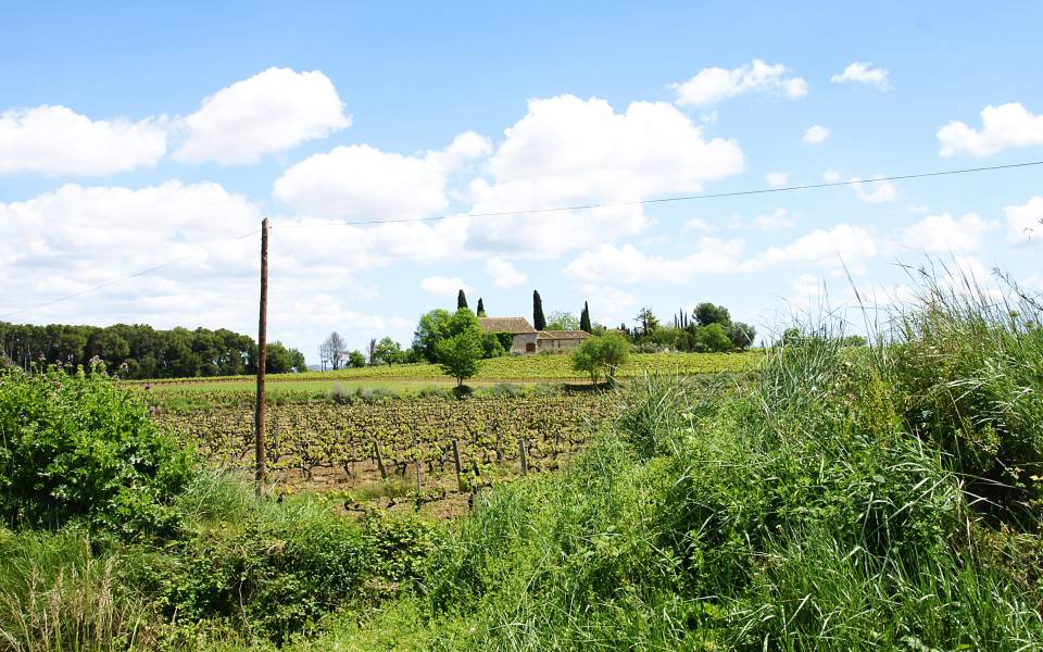 Holiday cottages in Font-rubí
