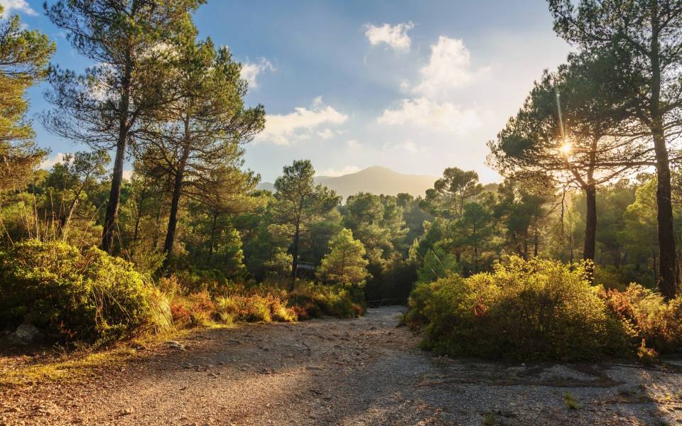 Holiday cottages in La Pobla de Montornès