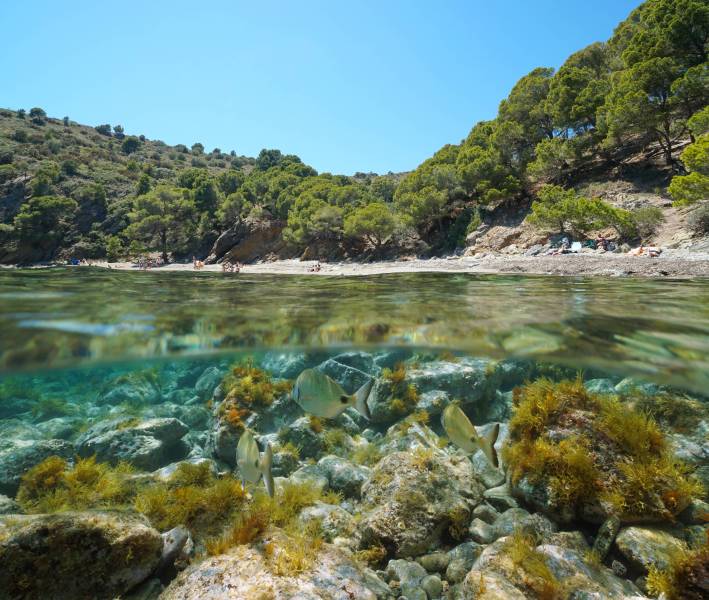 Foto: Cala Rostella