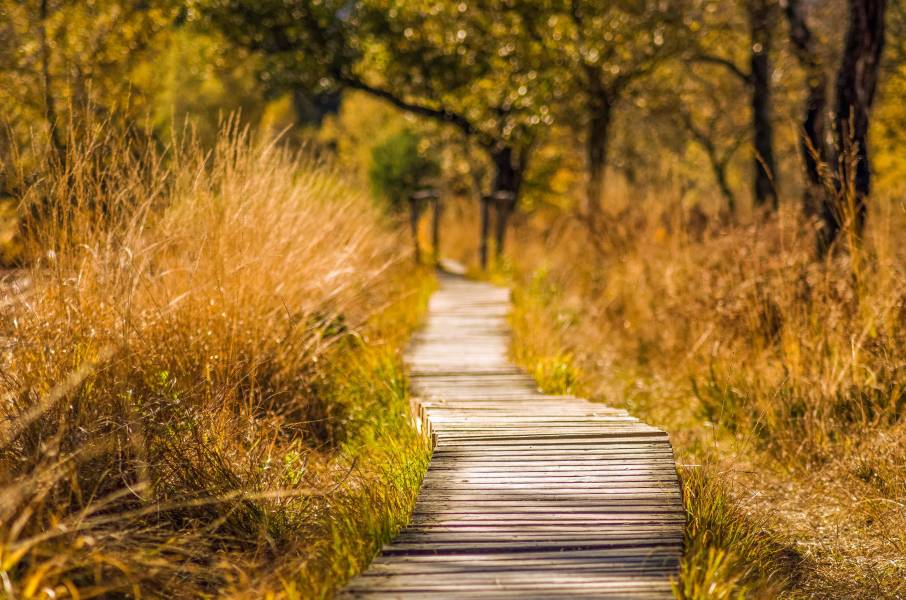 Escapada rural en Girona