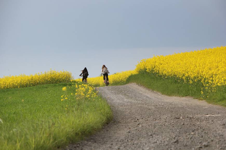 Une promenade par les Voies Vertes du Carrilet