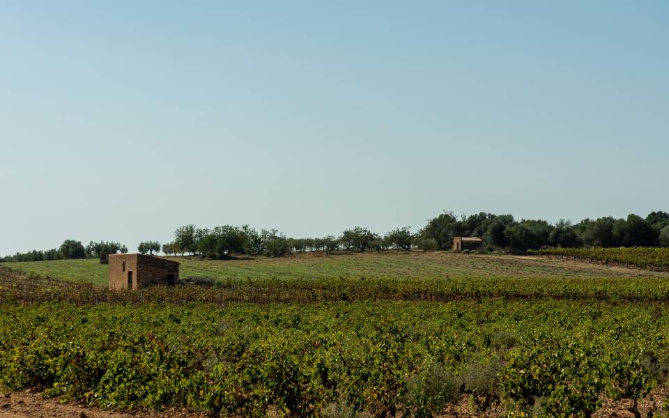 Cases rurals a Vilabella