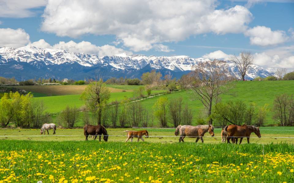 Holiday cottages in Das