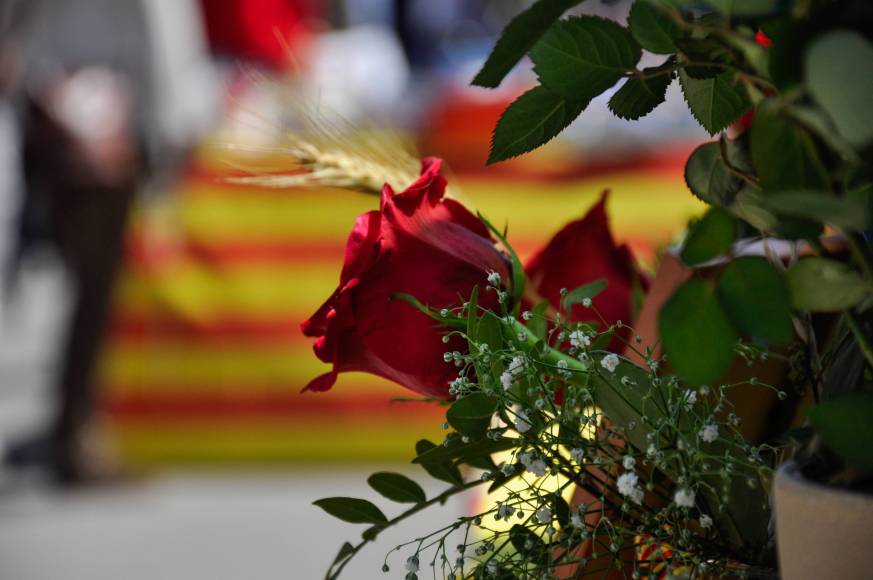 La fête de Sant Jordi en Catalogne: tradition, culture et romantisme
