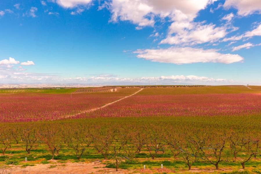 Holiday cottages Alfarràs