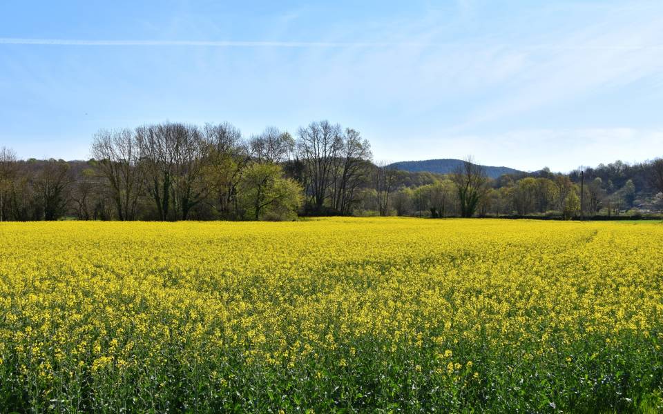 Holiday cottages in Sant Julià del Llor and Bonmatí