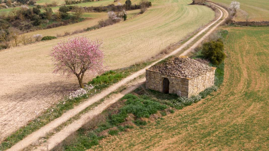 Casas rurales Ivorra