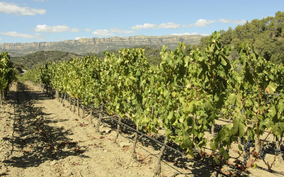 Cases rurals a Cornudella de Montsant