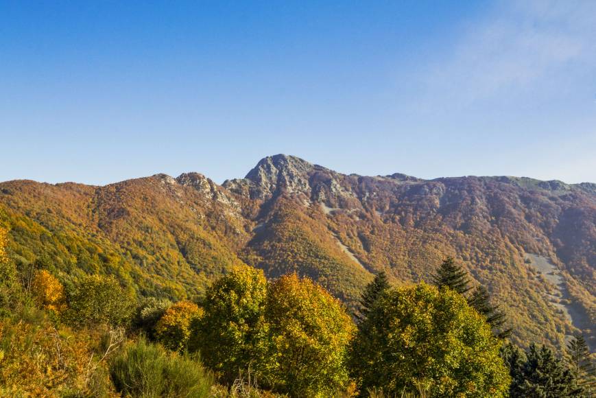 Foto: Parc Natural del Montseny